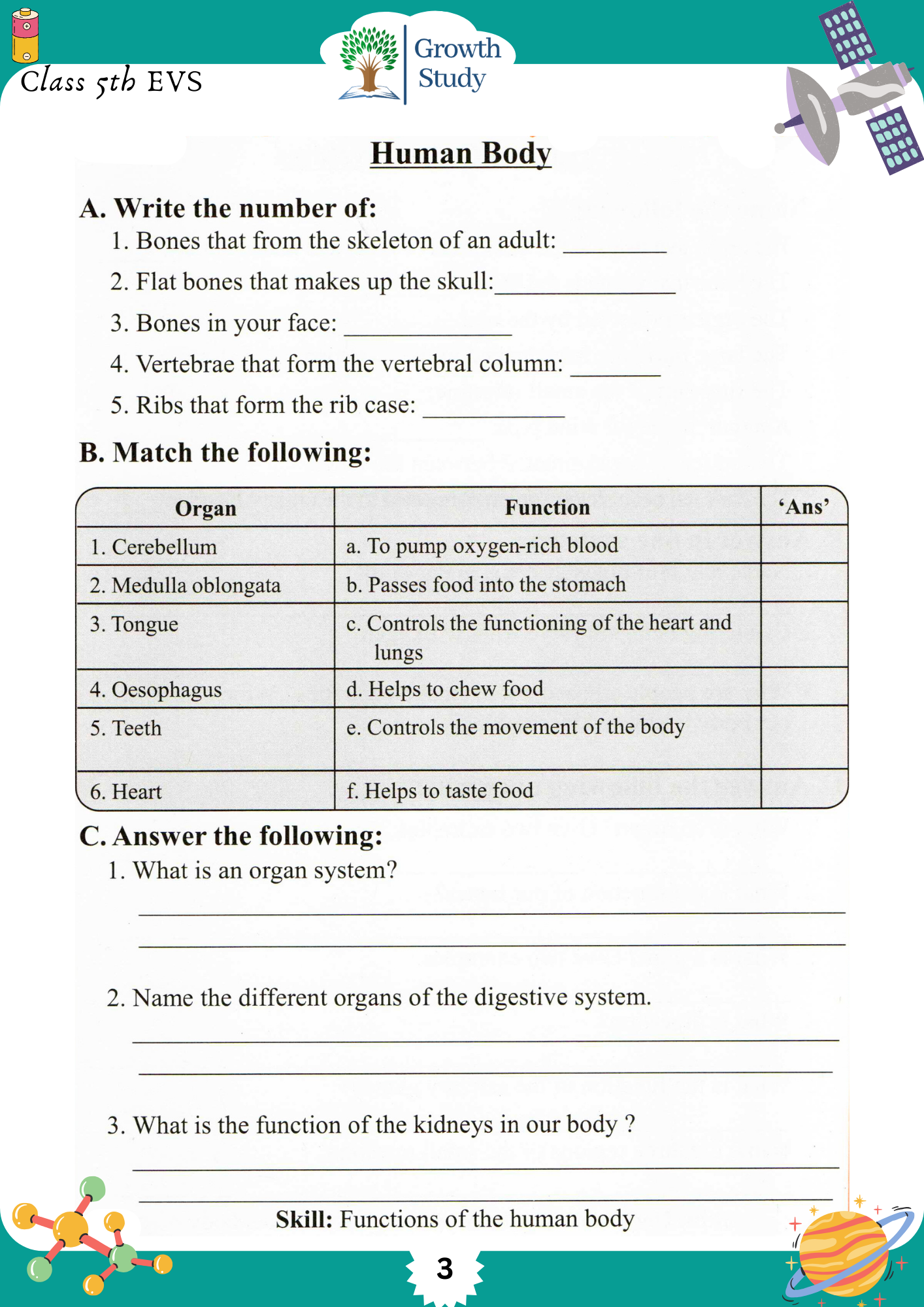 Printed Worksheet Class 5 Math, English, EVs