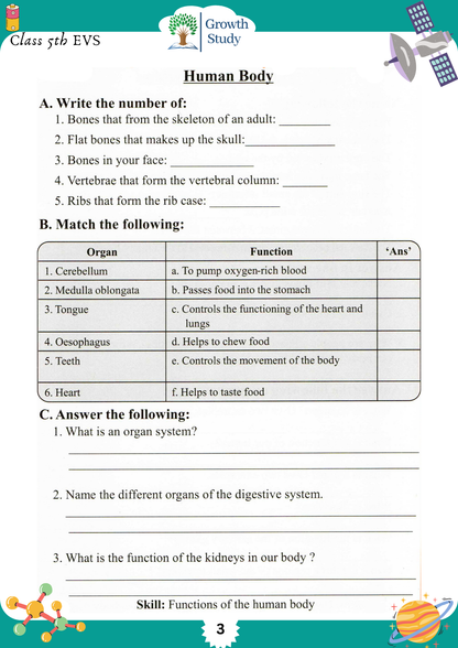 Printed Worksheet for Class 5th  EVS (Environmental Science)
