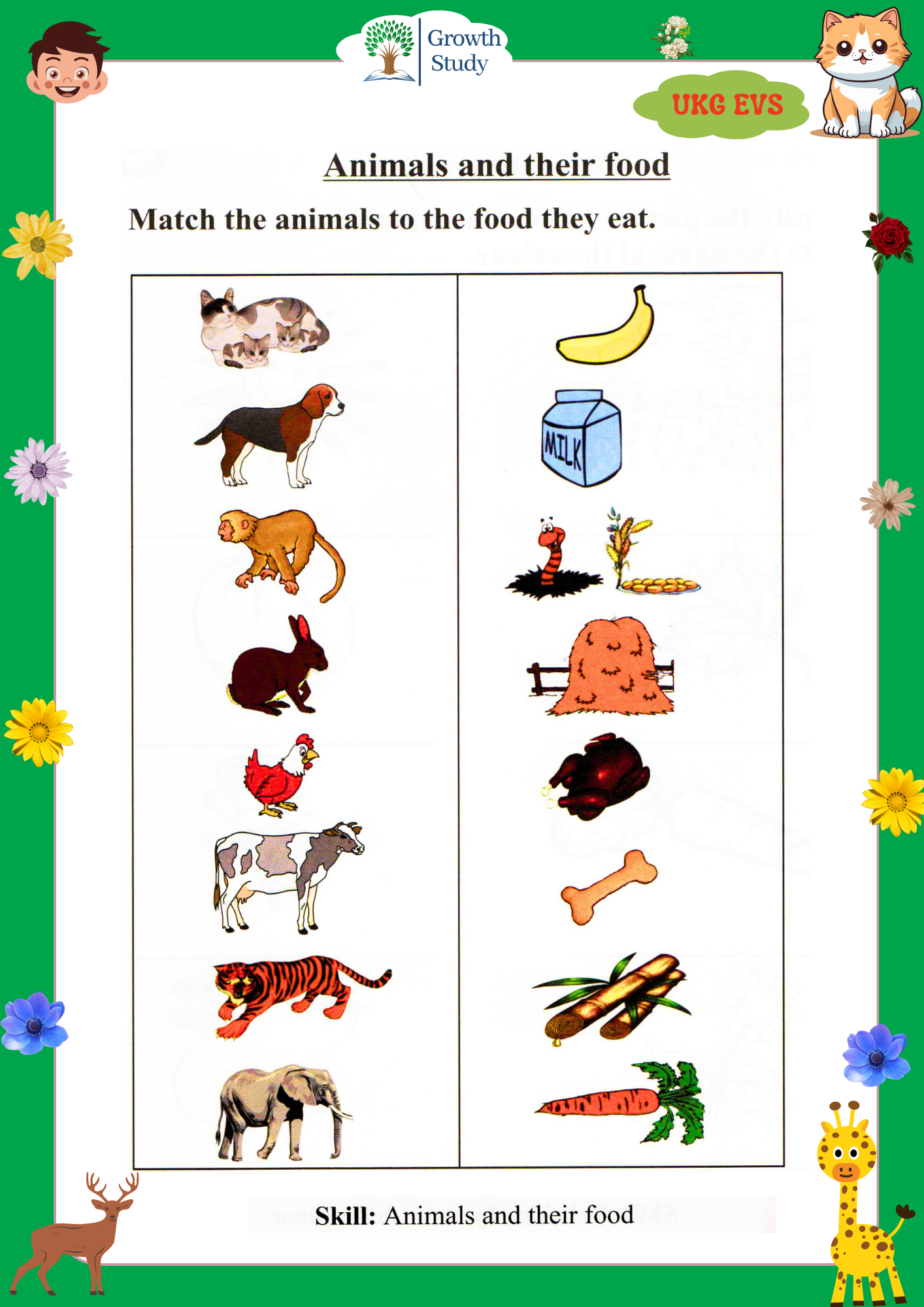 Printed Worksheet UKG Math, English, Evs