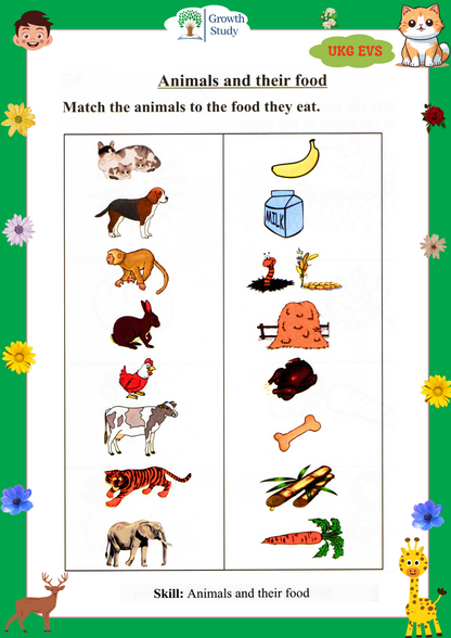 Printed Worksheets UKG  Math, English, EVS, Hindi | Hardcopy