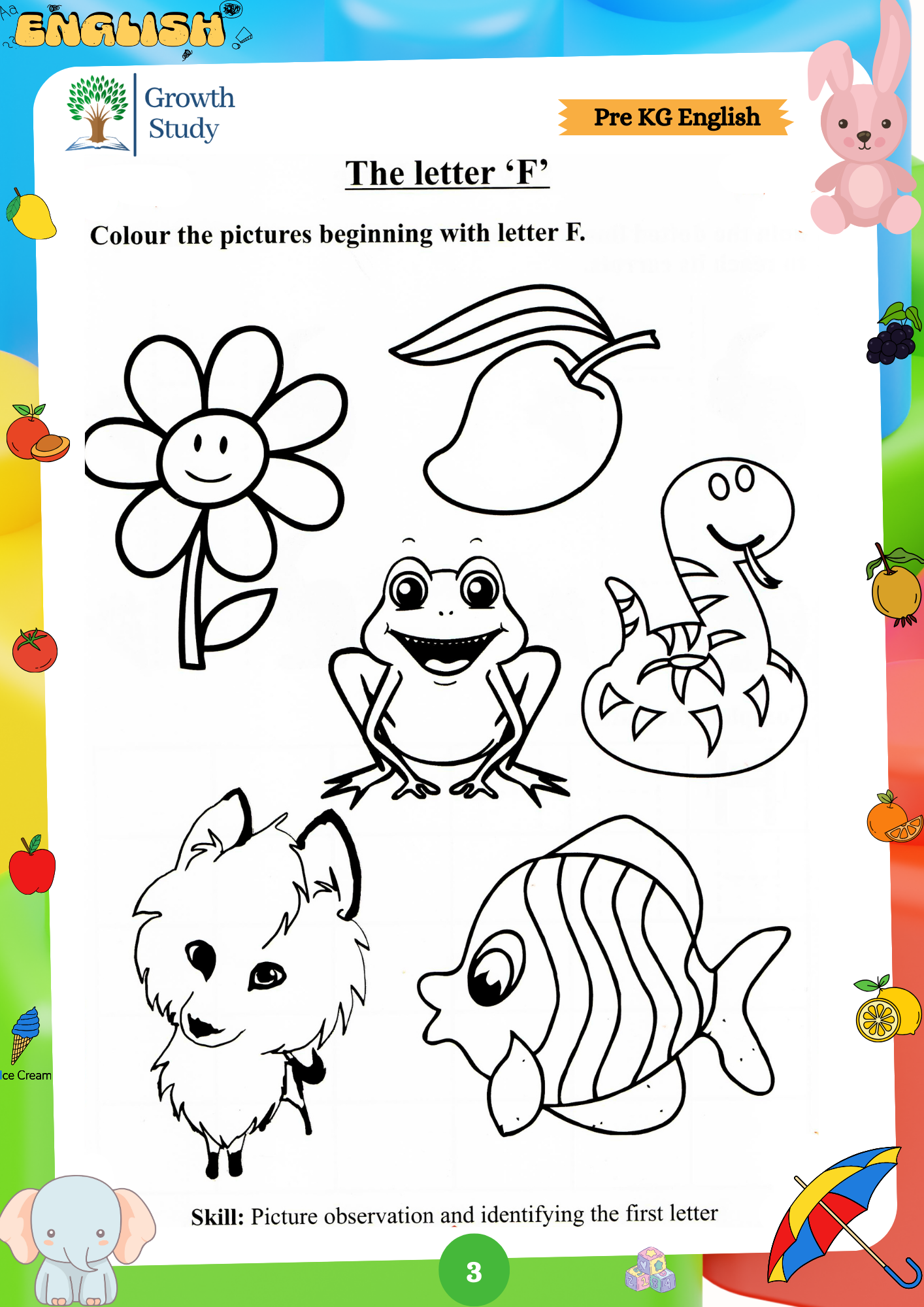 Printed Worksheet LKG Math, English, EVS(Science)