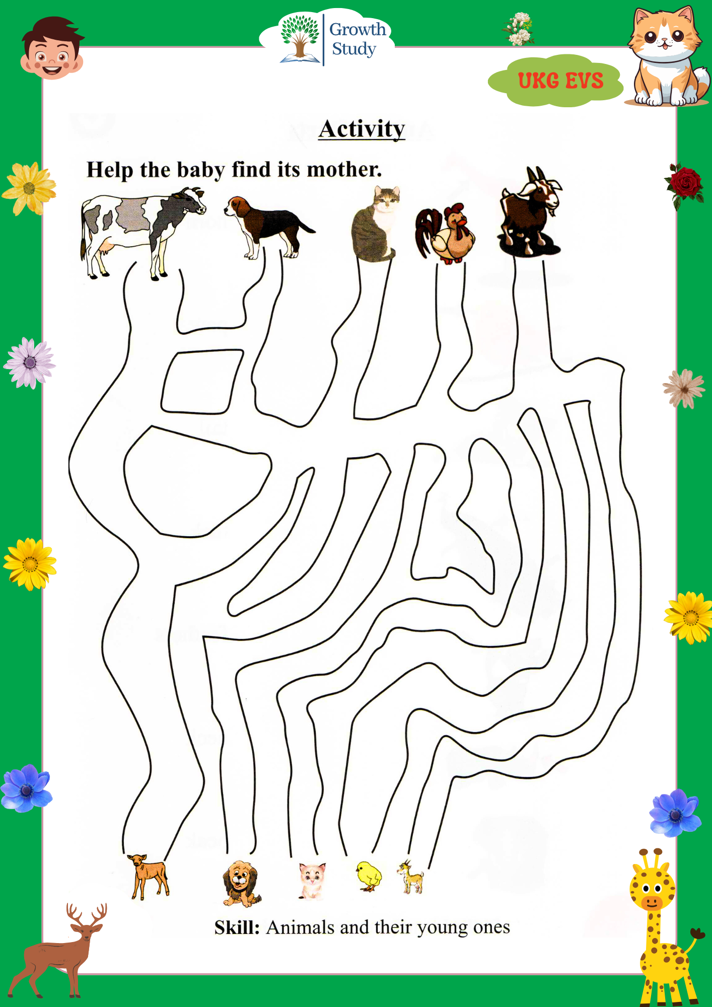 Printed Worksheet UKG Math, English, Evs