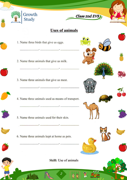Printed Worksheets Class 2 Math, English, EVS, Hindi | Hardcopy