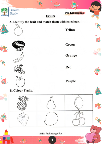Printed Worksheets LKG Math, English, EVS, Hindi | Hardcopy