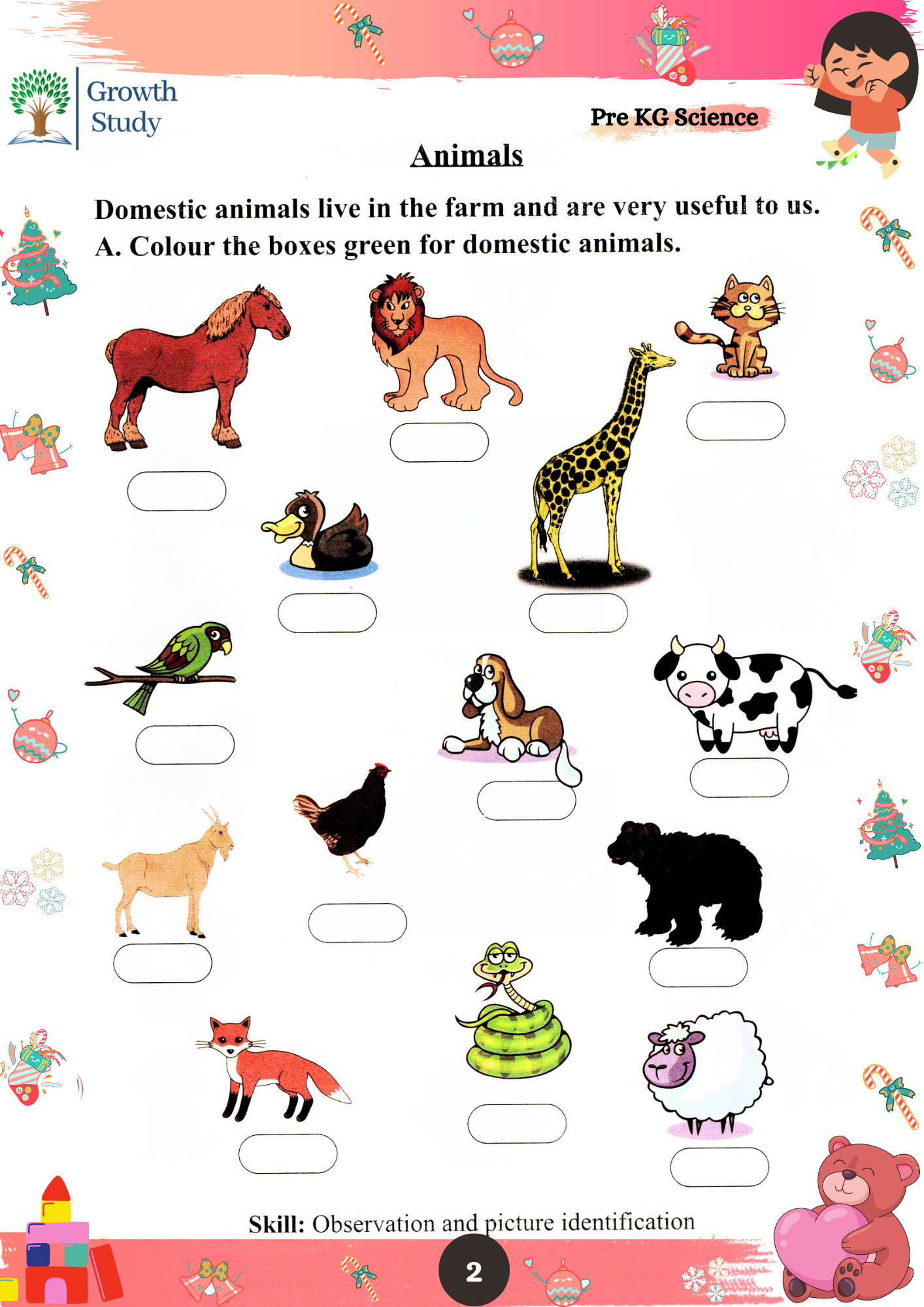 Printed Worksheet LKG Math, English, EVS(Science)