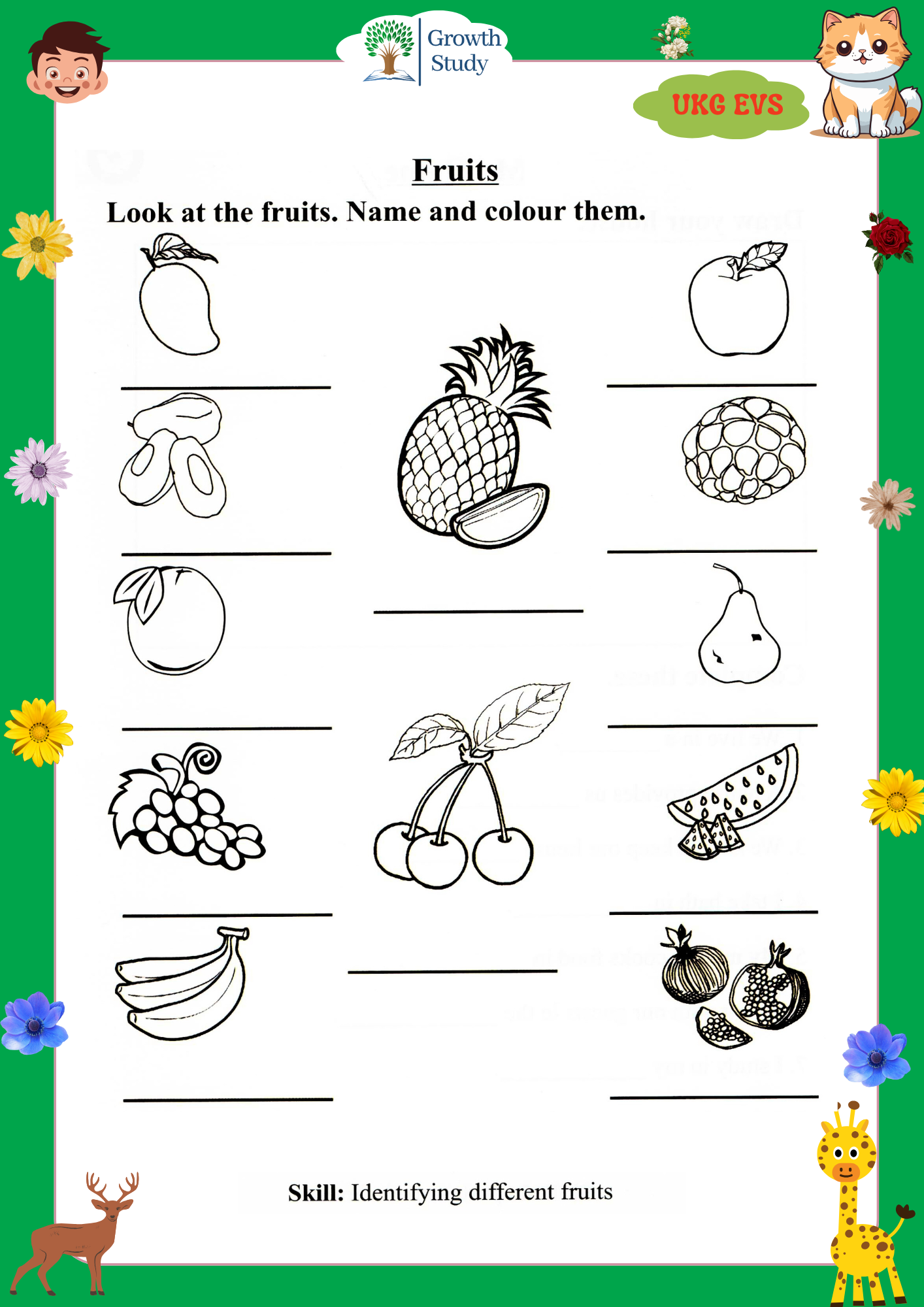 Printed Worksheet UKG Math, English, Evs