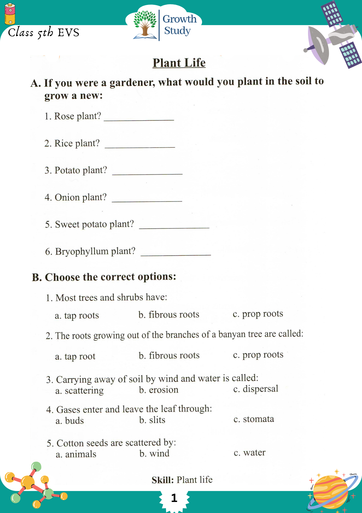 Printed Worksheet Class 5 Math, English, EVs
