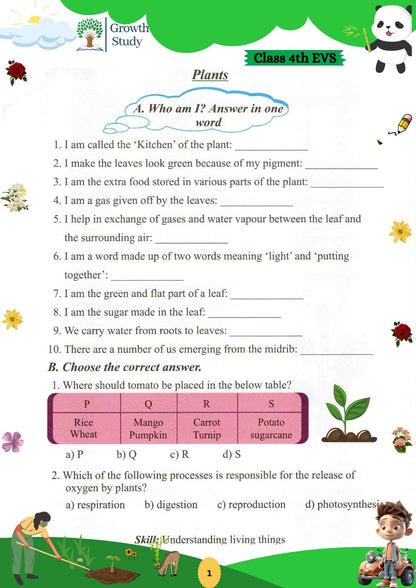 Printed Worksheets Class 4 Math, English, EVS, Hindi | Hardcopy